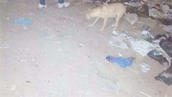 صورة تعبيرية 