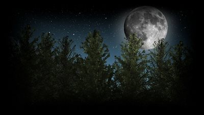 لماذا حرم القتال في الأشهر الحرم؟.. هذه فضائله وأدعيته