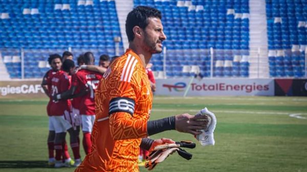 محمد الشناوي 