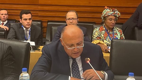 سامح شكري وزير الخارجية