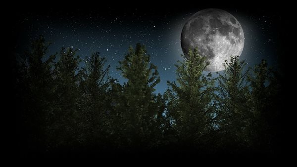 الأشهر الحرم - تعبيرية