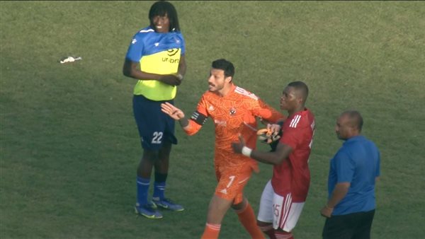 محمد الشناوي وأليو