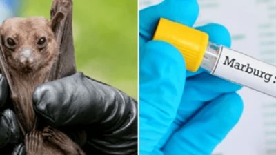 ارتفاع معدل الوفيات بفيروس ماربورغ في غينيا الاستوائية