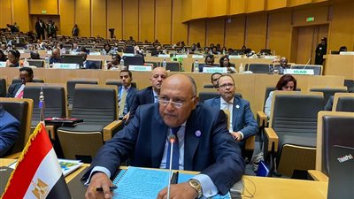 وزير الخارجية يؤكد أهمية ركون أطراف النزاعات لمبدأ الحلول الإفريقية لمشكلات القارة