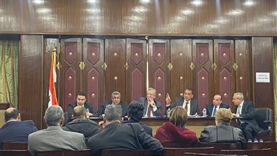 خطة النواب: مشروع قانون إلغاء الإعفاءات الضريبية يحقق المساواة بين القطاعين العام والخاص