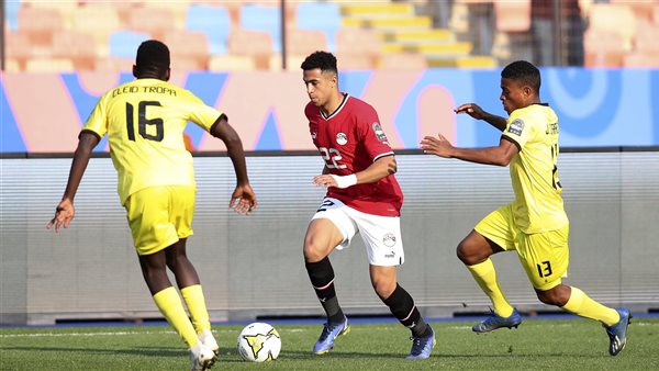 مصر وموزمبيق 