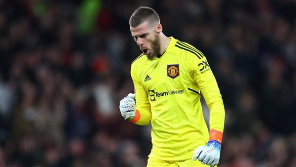 ديفيد دي خيا