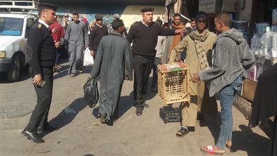 تحرير 322 محضرا في حملات مكبرة للمرافق بمراكز الأقصر 