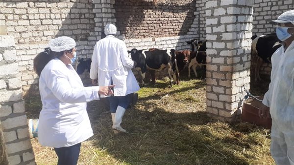 حملات بيطرية -أرشيفية