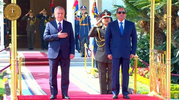  السيسي يستقبل رئيس