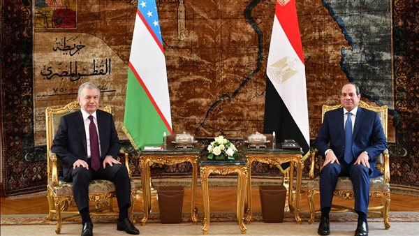 الرئيس السيسي