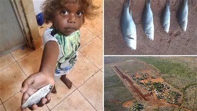 في ظاهرة غريبة.. السماء تمطر سمكًا في أستراليا