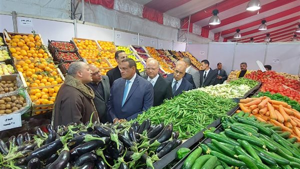 وزير التنيمة المحلية