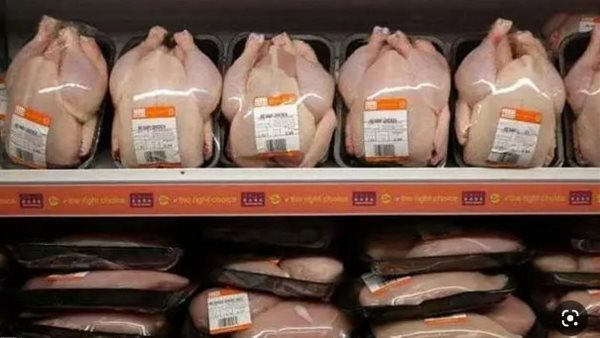 الفراخ المجمدة