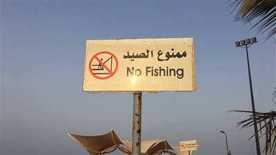 تعرف على تفاصيل تشكيل لجنة تحديد المناطق والفترات الممنوع فيها صيد الأسماك