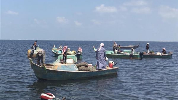 بحيرة مصرية