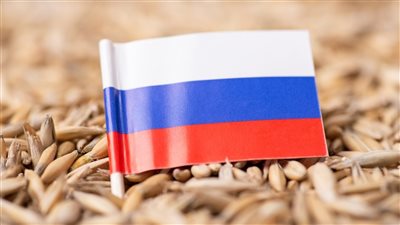 روسيا تعلق صادرات الحبوب إلى سوريا
