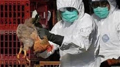 خبير بريطاني: إنفلونزا الطيور قد تؤدي بحياة 200 مليون شخص على مستوى العالم