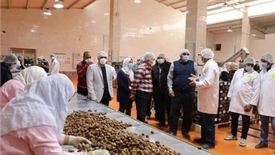 الوادي الجديد تصدر شحنة تمور للأسواق الكندية