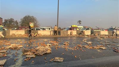 انقلاب سيارة محملة بالبيض في الطريق الزراعي بالقليوبية | صور 