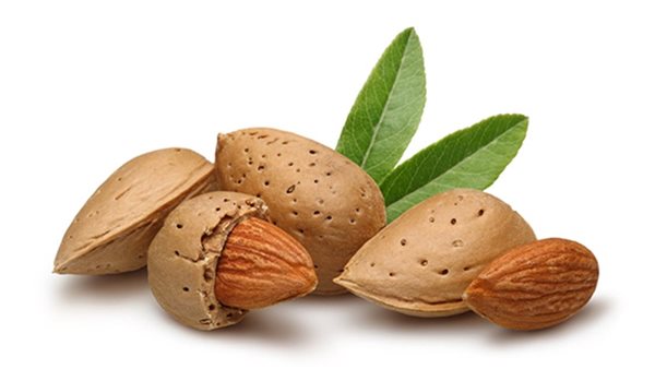 اللوز ـ أرشيفية