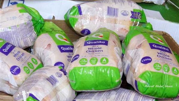 دواجن مجمدة