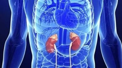 أعراض اضطراب وظائف الغدة الكظرية.. أهمها اشتهاء السكريات