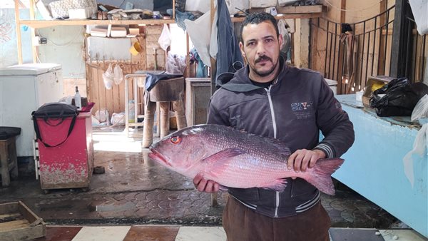 إقبال على المحلات