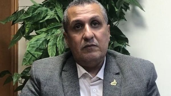 المهندس ناجي إبراهيم