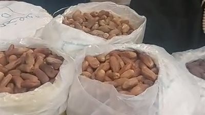 الكيلو يبدأ من 10 جنيهات.. إقبال كبير على شراء البلح في أقدم وكالة تمور بالغربية | بث مباشر