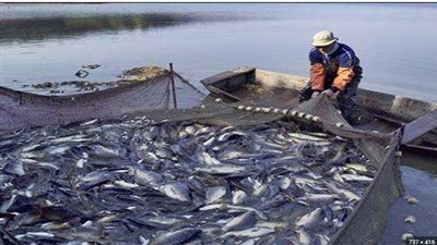  لجلسة 12 أكتوبر.. تأجيل محاكمة 3 متهمين من شركة سلوانا دايموند بتهمة النصب في 33 مليون جنيه