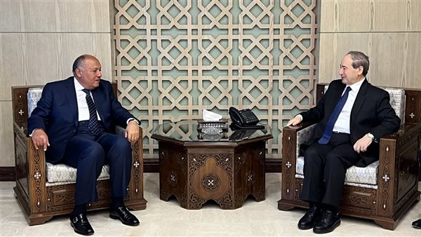 وزير الخارجية ونظيره