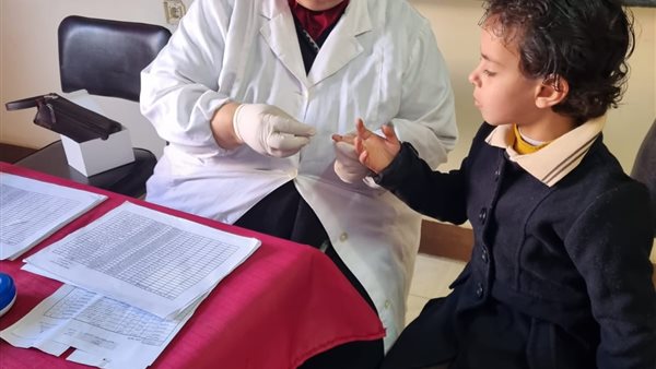 جانب من المبادرة