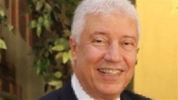 المستشار محمد بكر