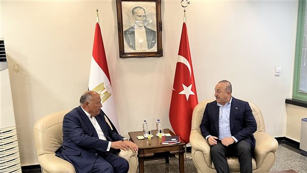 وزير الخارجية ونظيره