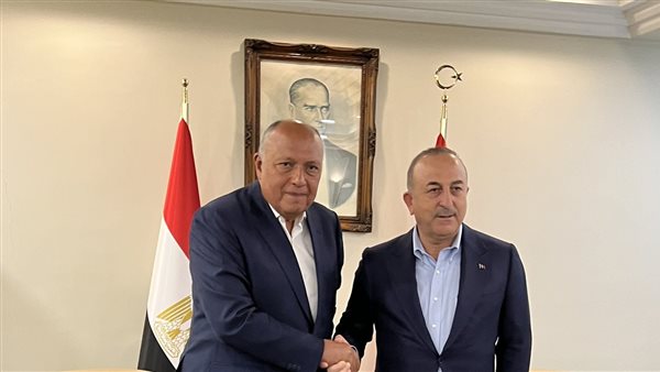 وزير الخارجية ونظيره