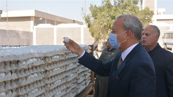 محافظ القليوبية