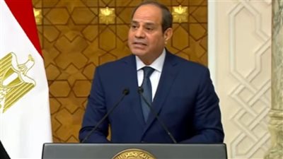 بقيمة 1000 جنيه.. الرئيس السيسي يقرر زيادة الحد الأدنى لحاملي الماجستير والدكتوراه بالحكومة 