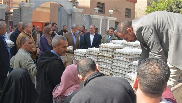 محافظ القليوبية 