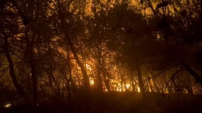 حريق في حديقة ملاصقة للقرية الفرعونية بالجيزة