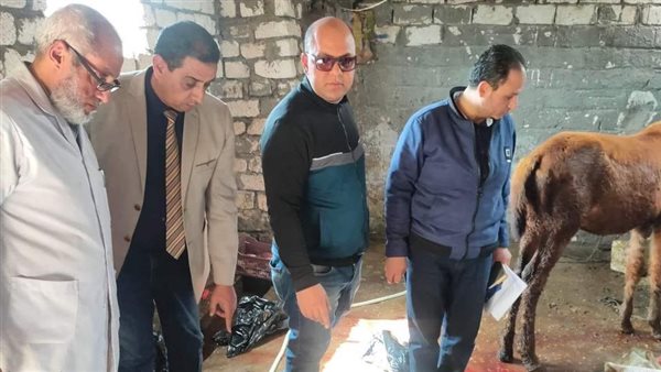 جانب من الحملة 