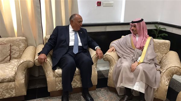 وزير الخارجية ونظيره