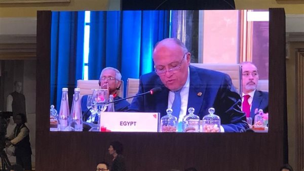 وزير الخارجية بقمة