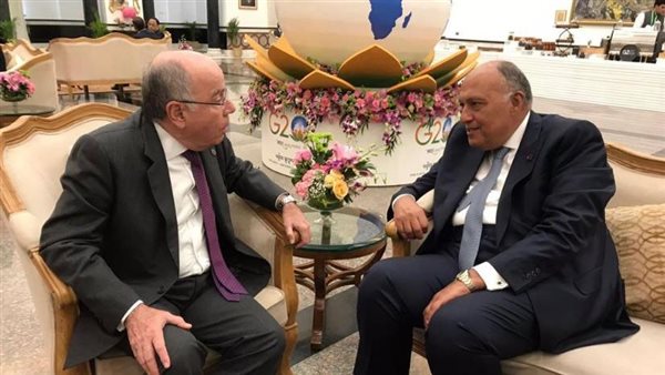 وزير الخارجية ونظيره