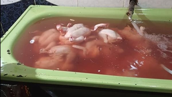 جانب من المضبوطات