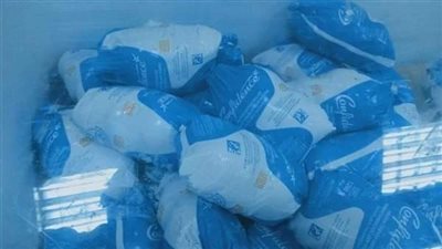 فرختان لكل مواطن.. طرح الدواجن البرازيلي بـ 65 جنيهًا في منفذ البيع بالفيوم