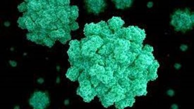 بريطانيا تعلن ارتفاع الإصابات بـ نوروفيروس للأسبوع الثالث على التوالي