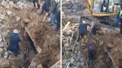 إنقاذ حصان بعد 22 يومًا تحت أنقاض زلزال تركيا 
