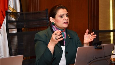 أبرزها تعديلات مبادرة سيارات المصريين بالخارج.. ماذا قدمت الهجرة خلال الأسبوع الماضي؟