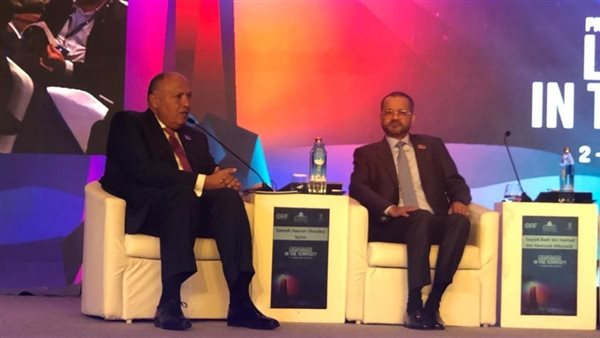 سامح شكري وزير الخارجية